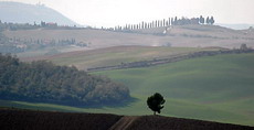 This landscape image shows an area of southern Tuscany.  It was photographed during the 2004 OpenShutter Workshops tour to Italy. Click on the image for more information about Workshops.  
